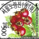 서울노량진1동우편취급국