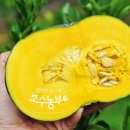 삼춘농산물