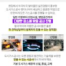 남양미래안과의원 네이버블로그