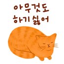 카카오톡 이모티콘 71개 이미지