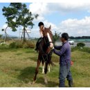 사슴이랑 배랑 농원 이미지