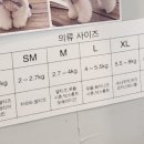 아베크슈