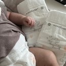 s-1 | 모모래빗 에코씽씽 신생아 기저귀 추천 S size 1개월 여아 후기