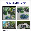 동양농장 이미지