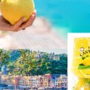 레몬과 오렌지 이미지