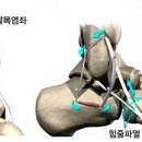 서울원선생한의원 이미지
