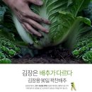 맛있는 김장김치 주문 지역별 & 종가집 김장김치부터~ 노브랜드까지~~!! 이미지