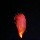 블루플래닛 이미지