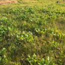 자라목장 이미지