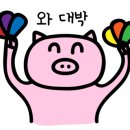 맥시칸치킨재송A점