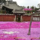 금잔디농원 이미지