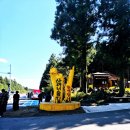 남조로 사려니숲길입구 이미지