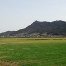 간척3리 이미지