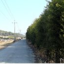 죽동새원 이미지