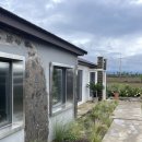 스테이 안도감 제주 이미지