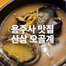 기배로 | 용주사 맛집 기안말 산삼 삼계탕｜산삼 오골계 보양식 (융건릉 근처)