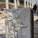 하나로가축병원 이미지