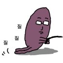 강남-076 이미지