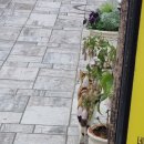 행리단길 음식문화거리 이미지