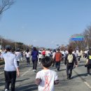 도심건강길 5길 | 2026 대구 마라톤 건강 달리기 참가 후기 | 인류 속을 달리다