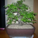 소사는집 이미지