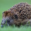 만수옥 2 이미지