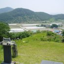 김극뉴 묘역 Daum카페