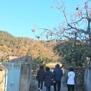 一犬吠形 百犬吠聲 (일견페형 백견페성) 이미지