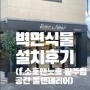 소호앤노호광주점 | [낭만청소] 벽면식물 설치 후기( f.소호앤노호광주점,공간플랜테리어)