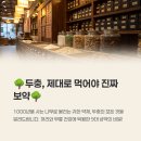 중화한의원 | 두충 효능 부작용 영양성분 약재 법제 궁합 음식 요리 먹는법 알아보기