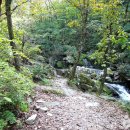 영월읍-6(연하계곡4) | [강원도 영월군] 용소폭포(연하계곡) - 전 견종 가능 · 맹견 입마개 · 목줄 착용 · 배변봉투 지참