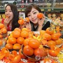 자은농장 이미지