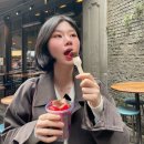 와일드민박 | 맥도날드 파이브가이즈 가격 메뉴 추천 영국 런던 여행 숙소 한인민박 위치 버로우 마켓
