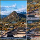 20)9. 莊子장자 外篇외편 第20篇 山木(산목)(第9章)/BYD,치킨게임,트럼프 만찬장 총격범,31세 명문대 공학도,AI 자율주행,식 이미지