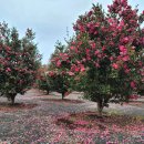 토평공업단지1 이미지