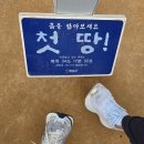 땅끝모노레일주차장화장실 | 해남 땅끝 모노레일 요금표 땅끝 전망대 후기 (+돌고래 봄!!)