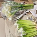 썸헤어아트 | [웨딩촬영] 웨딩촬영 후기 총정리｜셀프부케부터 청담 러비, 아트썸 스튜디오까지 리얼후기