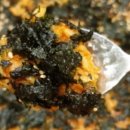 빠다에빠진포차 이미지