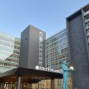 롯데리조트 속초 | 속초 여행 숙소로 만족했던 롯데리조트 속초 오션뷰 후기