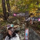 유가사등산로 | 대구 비슬산 초보코스 유가사코스 후기 천왕봉 주차장 정보