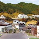 마우나오션개발(주)
