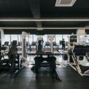 짐샤크 하안점 이미지