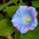 다산생태공원 이미지