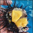 인영유통