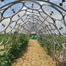 강서농원
