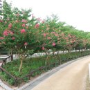 중앙공원 산책로 이미지