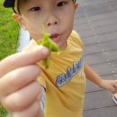 기안농장 이미지