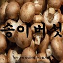 송이숲민박