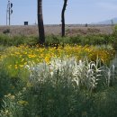 둥지해오름 이미지