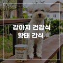 큐브디앤씨 이미지